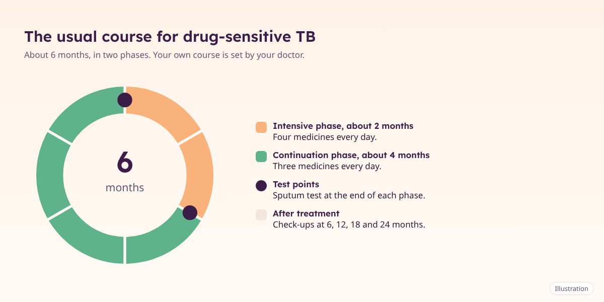 Illustration of the 6-month TB treatment ring: 2 months intensive phase and 4 months continuation phase, with test points